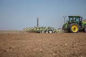 12 Fallow Master Orthman